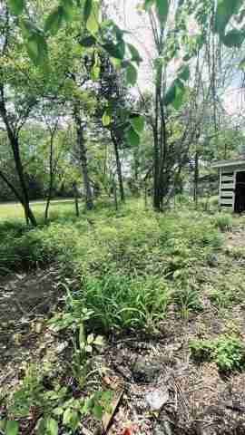 14680 Troester (6).jpg